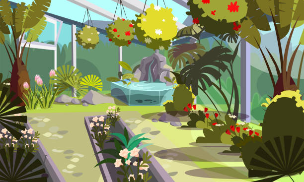ilustraciones, imágenes clip art, dibujos animados e iconos de stock de plantas en ilustración plana de invernadero vacía - greenhouse