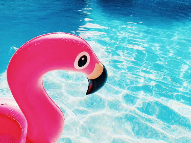 розовый фламинго бассейн игрушка плавает в воде - swimming pool toy inflatable ring float стоковые фото и изображения