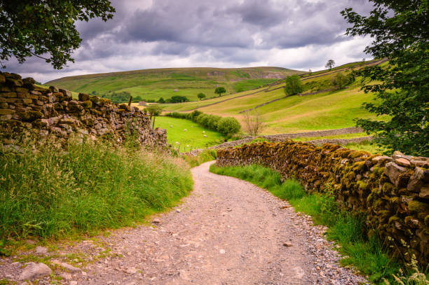 bridleway in upper swaledale - valley wall imagens e fotografias de stock