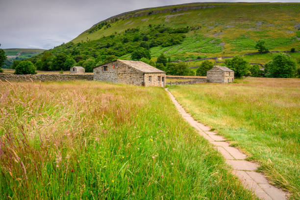 istock Muker Hay Meadows and Field Barns 1164940475