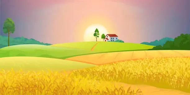 Vector illustration of Wheat fields. Village farm landscape with green hills and sunset. Vector rural agricultural countryside with buildings and trees