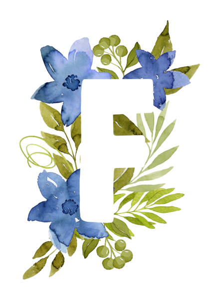 ilustraciones, imágenes clip art, dibujos animados e iconos de stock de carta floral f monograma. flores de acuarela azul y hojas verdes. - letter f illustrations