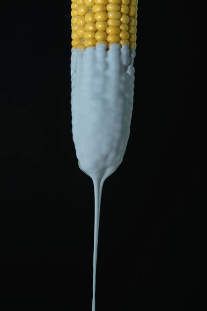 Dripping white paint of corn maze on a black background. Creative poster.