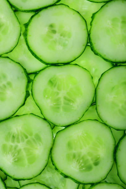 istock Slices of green fresh cucumber backlit as a textural background 1164944535