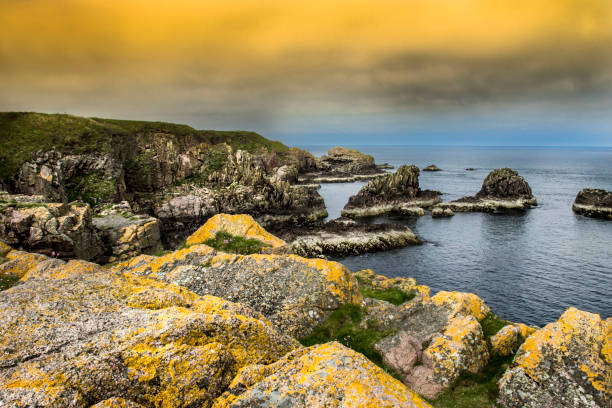 скалы и море возле залива круден, питерхед, абердиншир, шотландия - cruden bay стоковые фото и изображения