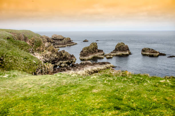 скалы и море возле залива круден, питерхед, абердиншир, шотландия - cruden bay стоковые фото и изображения