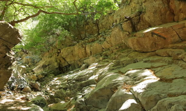 istock Trail in Kollita gorges (Moudriano, Poros, Moundros gorge), Crete, Greece 1164944918