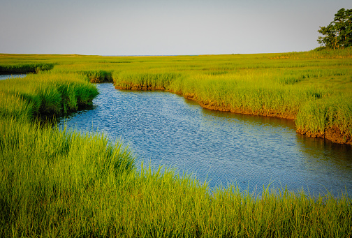 Mill Creek meanders through a vast salt marsh as it flows to the ocean in Sandwich, Massachusetts