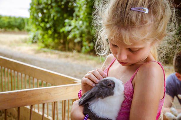 istock lovely child holding a rabbit pet 1164945136