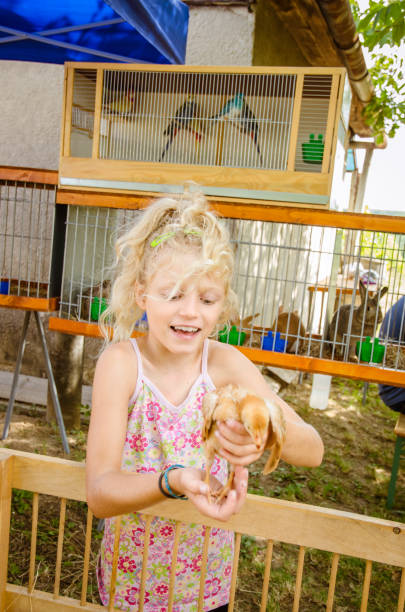 istock lovely child holding a duckling 1164945206