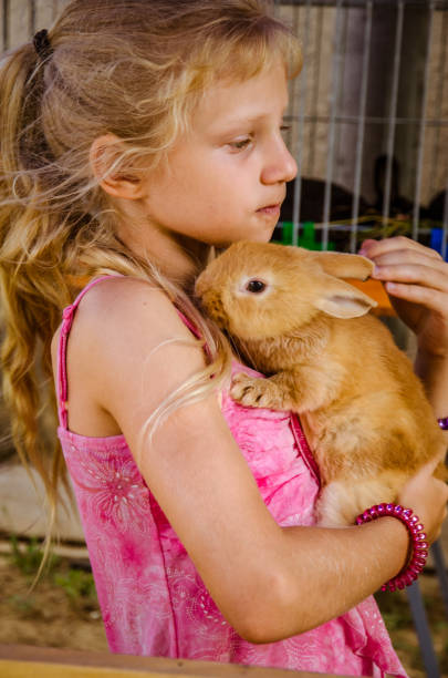 istock lovely child holding reddish rabbit pet 1164945414