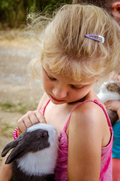 istock lovely child holding a rabbit pet 1164945476