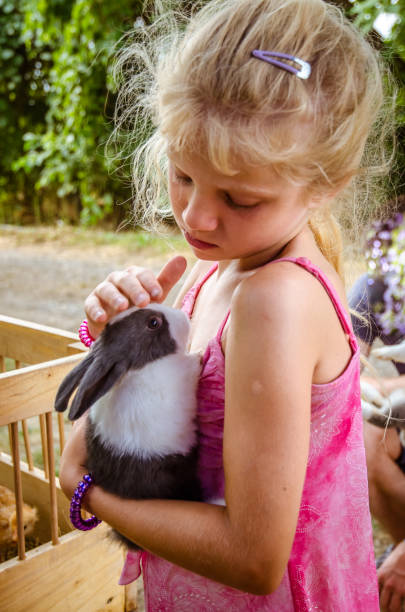 istock lovely child holding a rabbit pet 1164945478