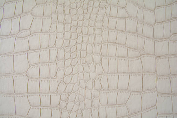 istock Background made of artificial beige crocodile skin. 1164945499