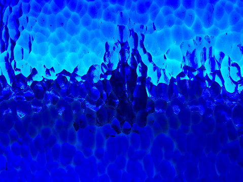 Arbol a través del vidrio azul photo