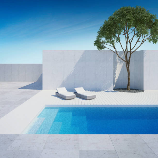 istock luxury modern backyard with a swimming pool 1164948541