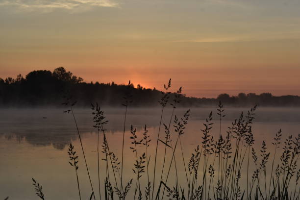 waterloo et st. jacobs (ontario) canada - waterloo region photos et images de collection