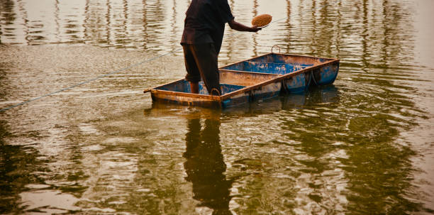 istock Man feeding fishes around a pond 1164952629