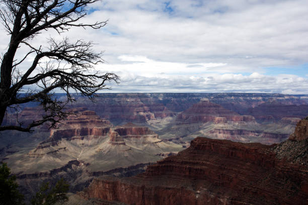 istock Grand Canyon USA 1164952726