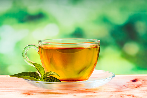 herbal green  tea bag and green background