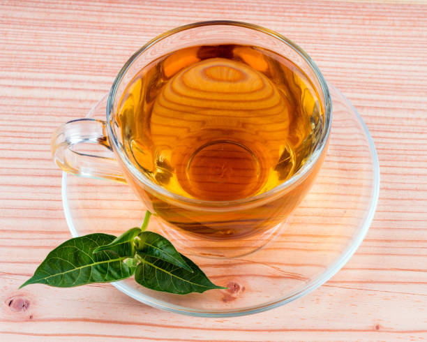 istock herbal tea bag and green background 1164953693