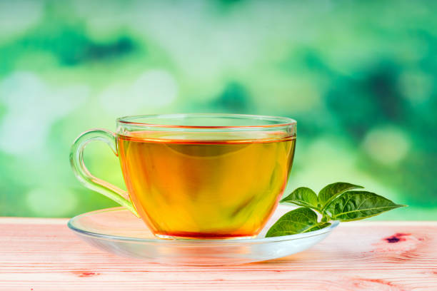 istock herbal tea bag and green background 1164954376