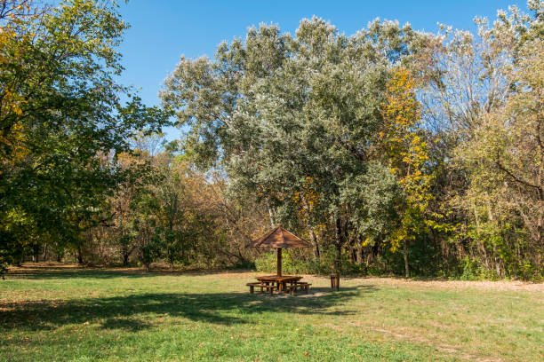 istock Resting place in the nature 1164954963