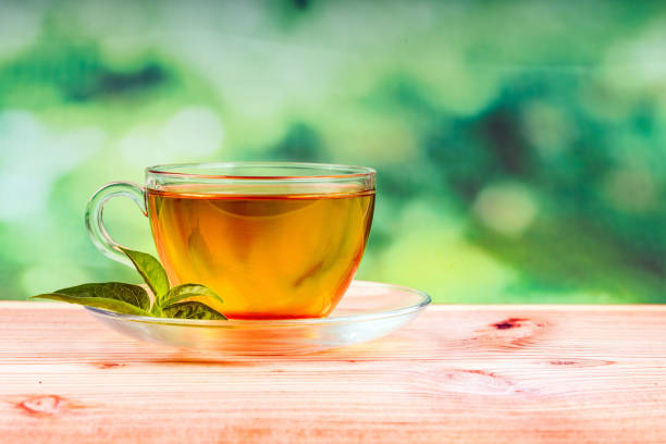 istock herbal tea bag and green background 1164954970