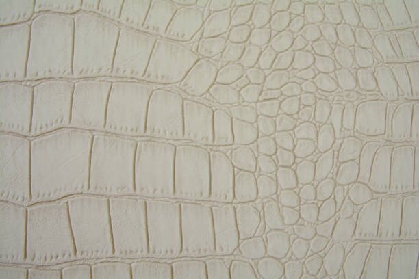 istock Background made of artificial beige crocodile skin. 1164955629