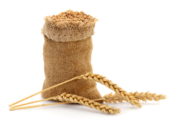 istock Sack with grains and ear of wheat. 1164958330