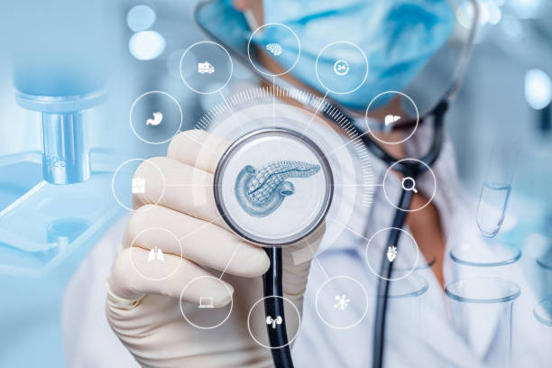 istock Concept diagnosing pancreas of the patient. 1164962027