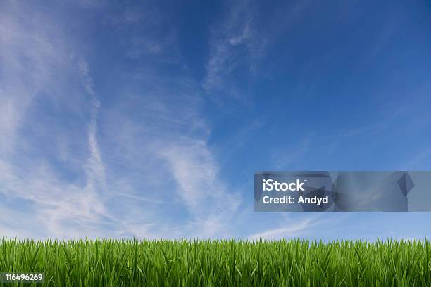 Frühling Meadow Stockfoto und mehr Bilder von Blau - Blau, Farbbild, Feld