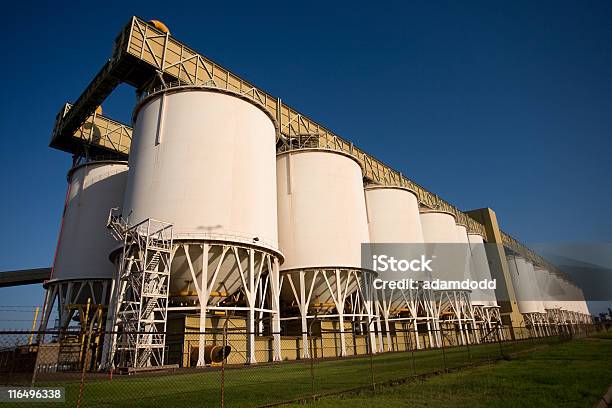 Photo libre de droit de Fleur De Tours Divoire banque d'images et plus d'images libres de droit de Silo - Silo, Australie, Nouvelle-Galles-du-Sud