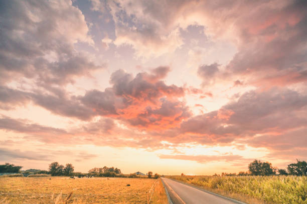 Rural sunset with an asphalt road crossing a countryside