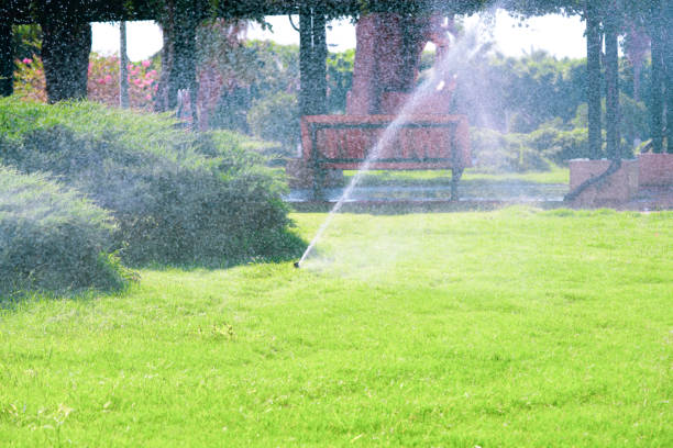 istock sprinkler technique and garden irrigation 1164964528