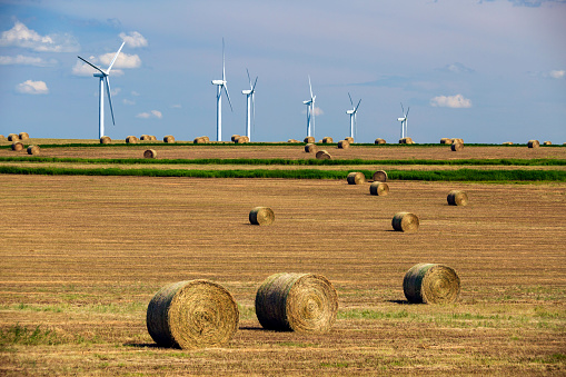 Renewable energy wind turbines in a harvested agricultural field with bales hay in the Canadian prairies of Alberta, Canada.