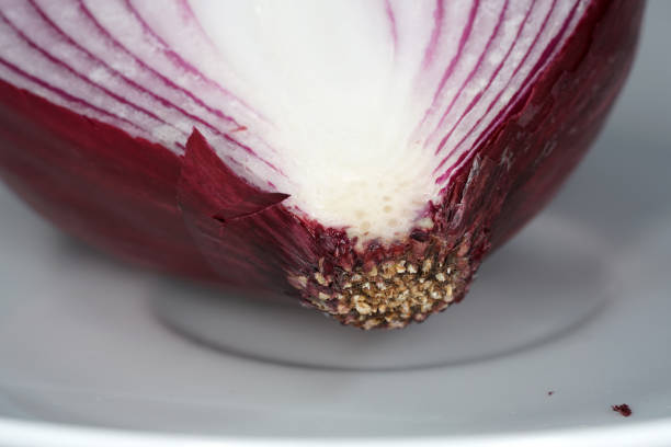 This is a fresh red onion refines so many dishes in the kitchen