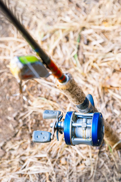 istock Spinning with baitcasting reel and bait 1164968178