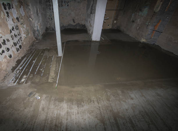 istock construction of a heated floor with cement mortar 1164968376