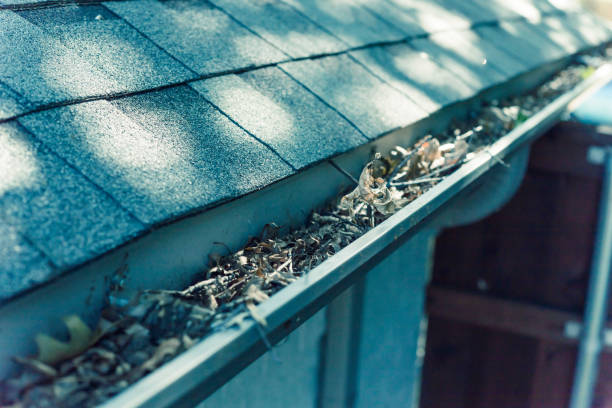 istock Filtered image gutter clogged by dried leaves and messy dirt need clean-up 1164969039