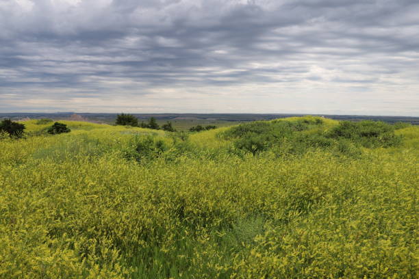 istock Badlands national park in South Dakota 1164969171