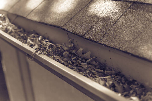istock Filtered image gutter clogged by dried leaves and messy dirt need clean-up 1164969202