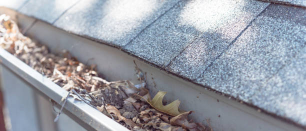istock Panoramic gutter clogged by dried leaves and messy dirt need clean-up 1164969212