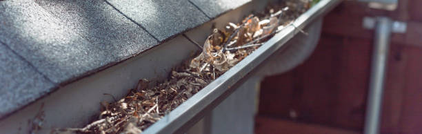 istock Panoramic gutter clogged by dried leaves and messy dirt need clean-up 1164969225