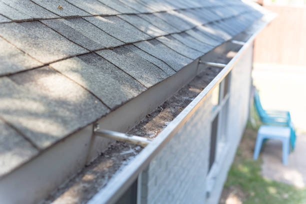 istock Top view gutter blocked by dried leaves and messy dirt need clean-up 1164969302