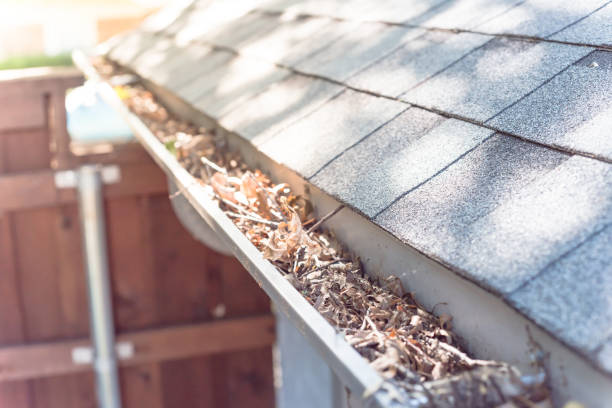 istock Top view gutter blocked by dried leaves and messy dirt need clean-up 1164969323