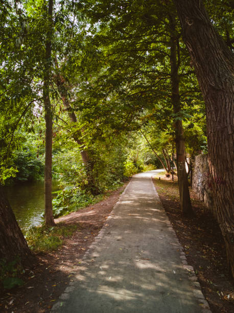 istock Nature trail in big city 1164972328