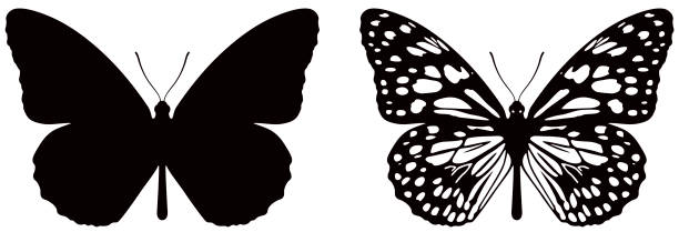 Vector illustration of butterfly on white background. There are two versions, black shape and black and white Carefully labeled and grouped in layers panel. Easy to select and edit tattoo silhouettes stock illustrations