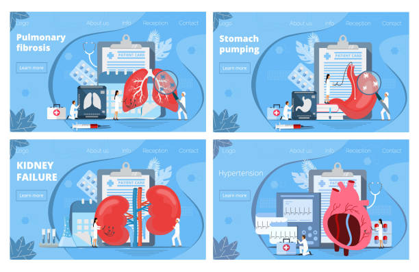 ilustrações de stock, clip art, desenhos animados e ícones de medicine landing pages. concept vector of pyelonephritis, stomach, lungs, heart diseases, hypertension - pumping blood illustrations