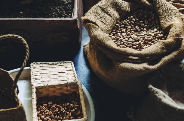 Arabica and Robusta coffee beans.